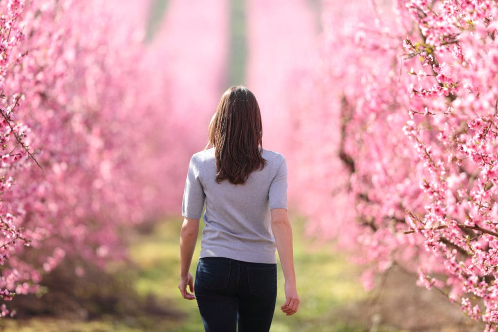 Back view of a woman walking in a pink flowered field